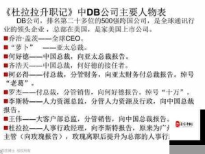 杜拉拉升职秘籍，能力速升与资源管理策略的双重重要性