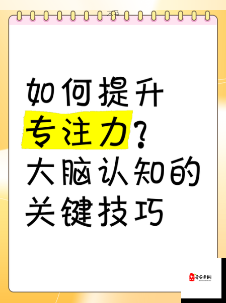 职场专注力提升：如何在工作中有效避免分心？